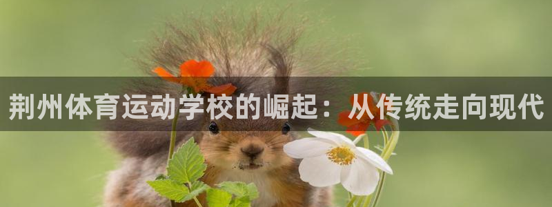 杏运4