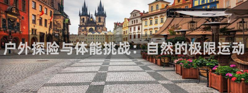 杏运娱乐登录