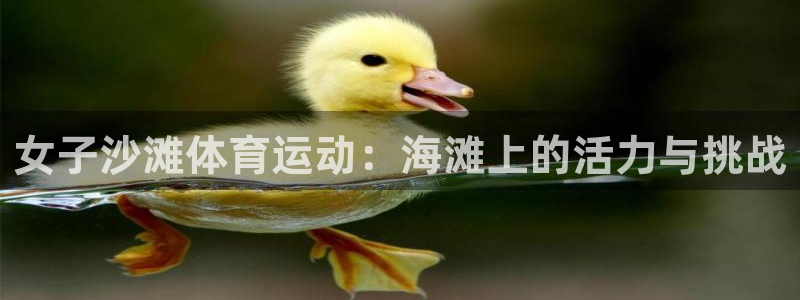杏运体育凯捷登陆