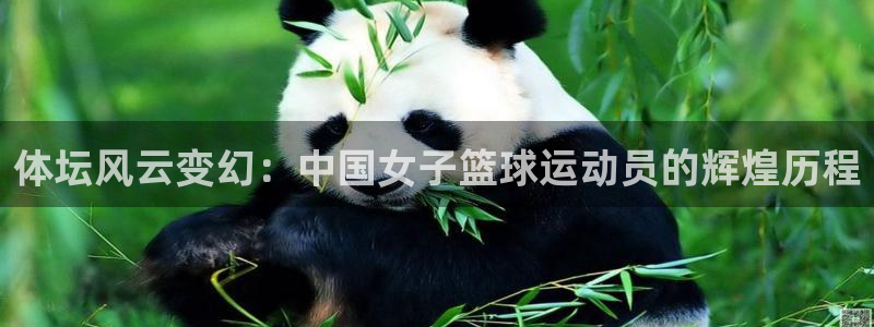 杏运f平台注册