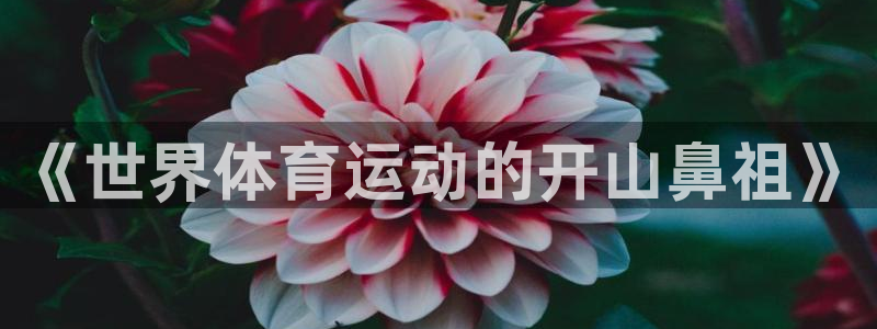山东杏运新能源汽车有限公司
