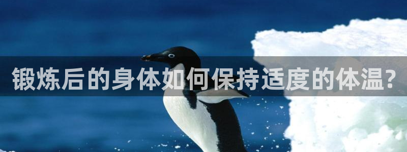 杏运达贝钙