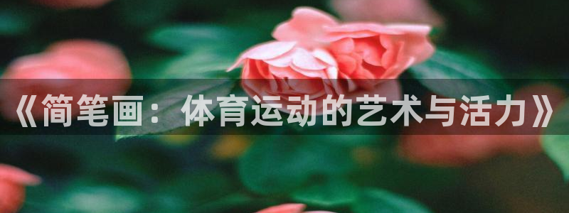 杏运电动汽车多少钱一辆