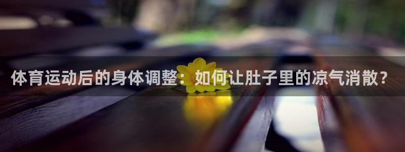 杏运4
