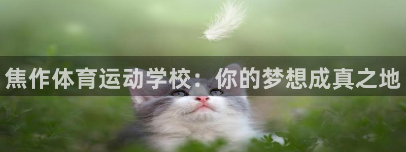 杏运满糖