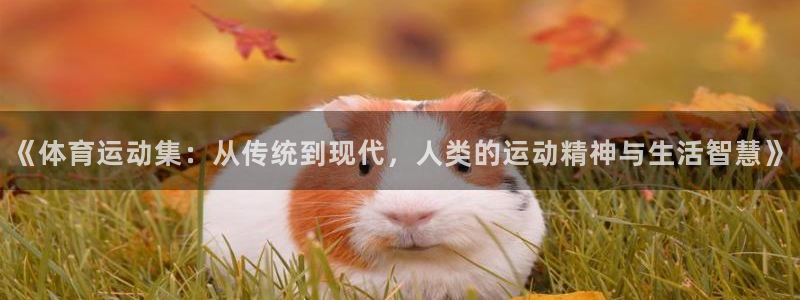 杏运体育app下载