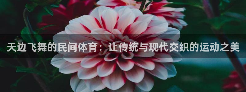 杏运汽车厂家地址