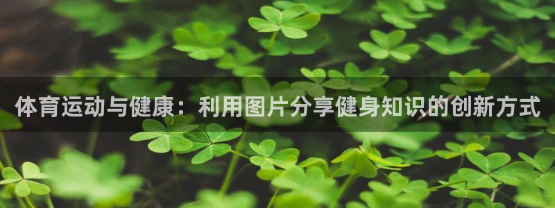 杏运3平台登录注册