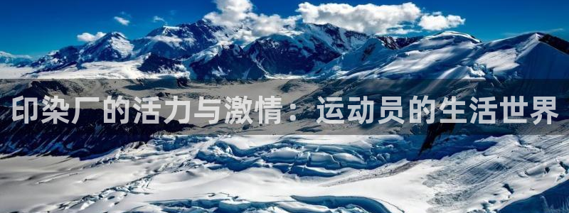 杏运集团官网