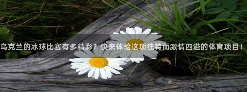 杏运零能源集团